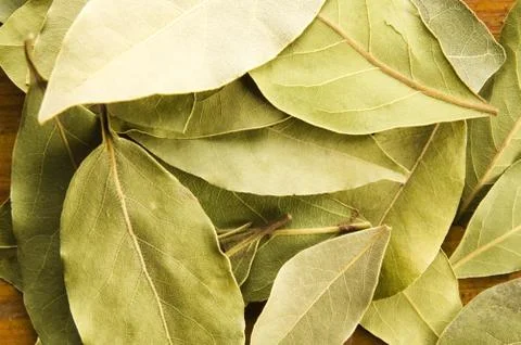 Bay leafs Stock Photos