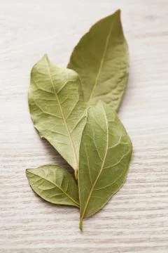 Bay leaves Stock Photos