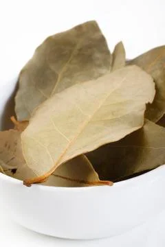 Bay leaves Stock Photos