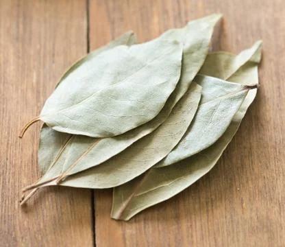 Bay leaves Stock Photos