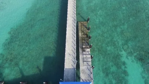 Bay with a pier, a tropical landscape, constructions ashore, shooting from air Stock-Footage 82072492