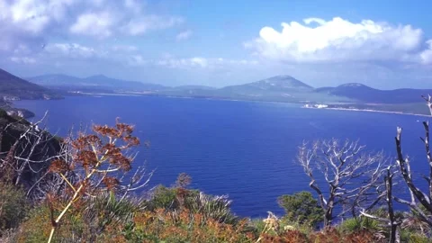 Bay of Porto Conte 스톡 동영상 140353759