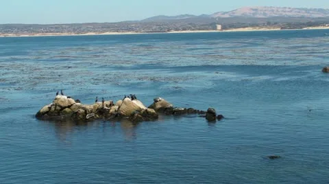 Bay Rocks Stock-Footage 11883500
