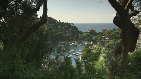 Bay shot through trees Stock-Footage 35839952