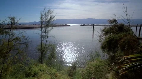 Bay View Behind Bushes Stock Footage 60658110