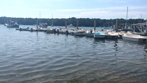 Bay view on Marthas Vineyard, seen from a distance Stock Footage 96223404