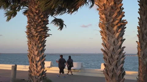 Bay view with palm trees and tourists walking by Stock Footage 191737603