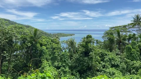 Bay view in Raiatea 库存影片 344416111