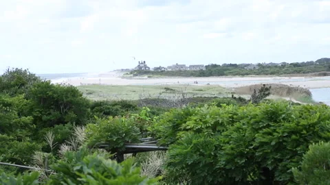 Bay view summer in the hamptons Stock Footage 141696801