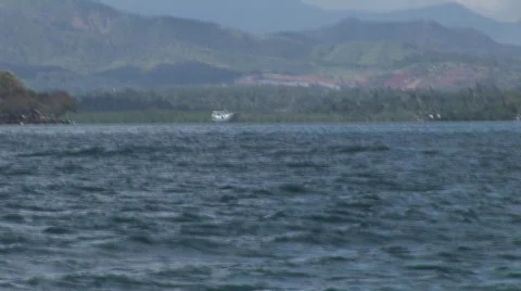 Bay watch 6 Stock Footage 498422