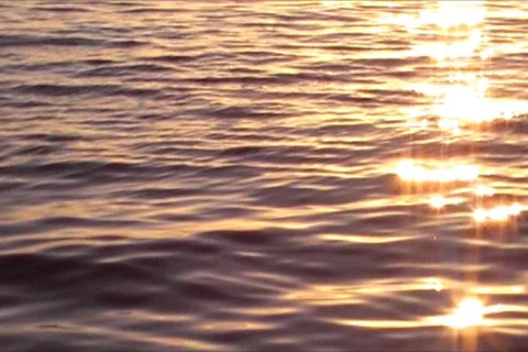 Bay Water 04 Stock Footage