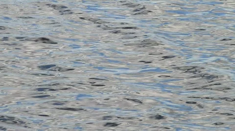 Bay Water Moving Stock Footage