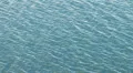 Bay Waters Ripple Waves 1 HD Footage
