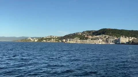 Bay in Wellington 库存影片 344255874