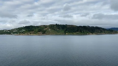 Bay in Wellington Vídeo Stock 344255884