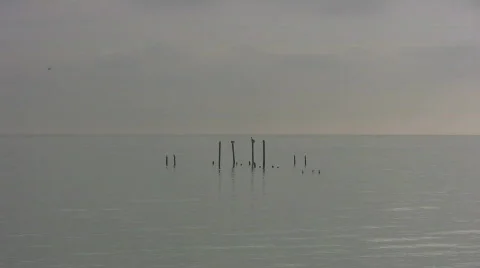 The Bay2 Video stock 562256