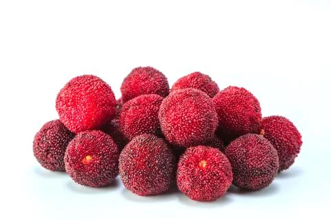 Bayberry Stock Photos
