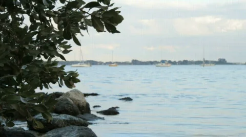 Baydolly Stock Footage 609795