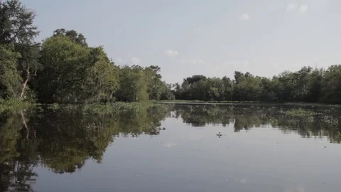 Bayou 3 Video stock 88231233