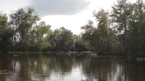Bayou 4 Video stock 88231251