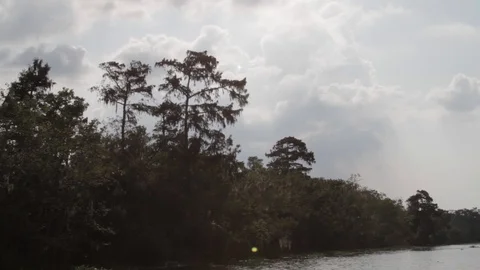 Bayou 5 Video stock 88231197