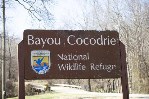 Bayou Cocodrie National Wildlife Refuge Stock Photos