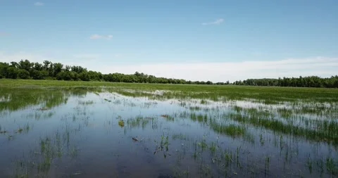 Bayou Low Fly Stock Footage 154911589