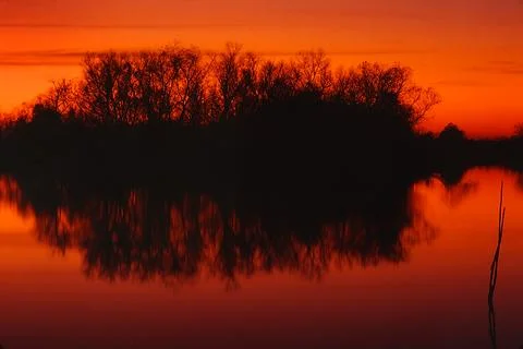 Bayou Reflection- Dusk Stock Photos