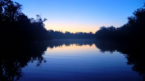 Bayou Scene at Sunrise 스톡 동영상 80441584