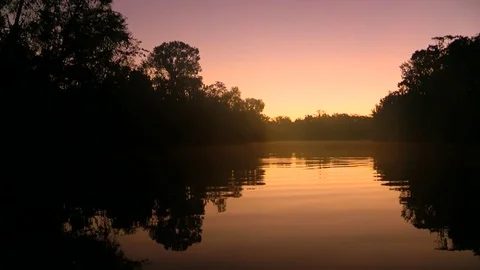 Bayou Scene at Sunrise 스톡 동영상 80441585