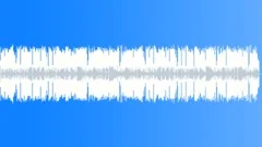 Bayou Squeezebox - cajun solo accordionStock Music