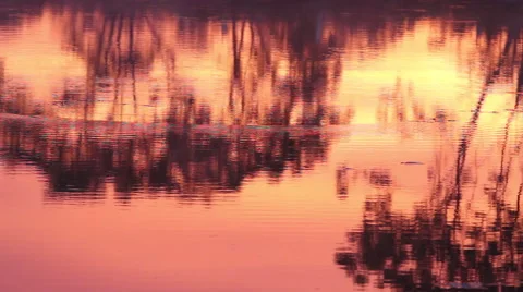 Bayou sunrise reflections Stock Footage 49396766