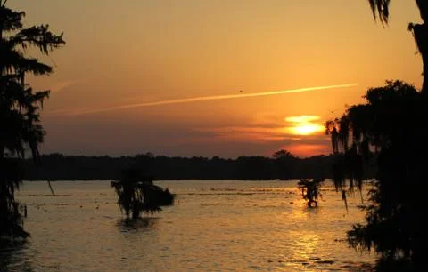 Bayou at sunset Foto stock