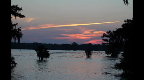 Bayou sunset timelapse Video stock 25842387
