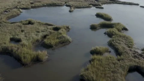 Bayou Yscoloskey Marsh and Shell Beach 動画素材 137970981