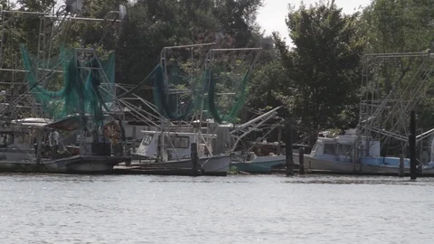 BayouPort Video stock 88231301