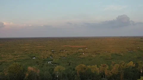 Bayous Sunset 2 Stock Footage 204832040