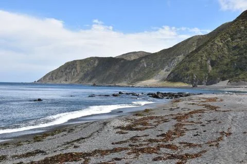 The bays beach Stock Photos