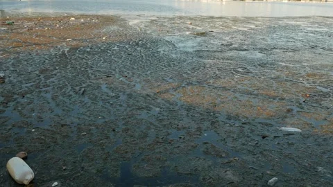 BayTrashPanP1010081 Stock Footage 289160476