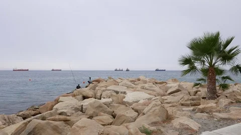 Baywalk with palm trees in Limassol Stock Footage 70421711