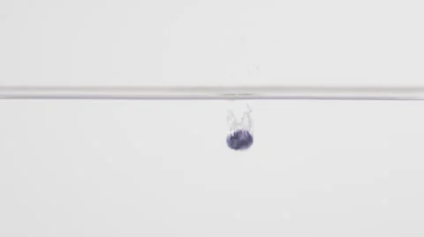 BB 2 Stock Footage 23137923