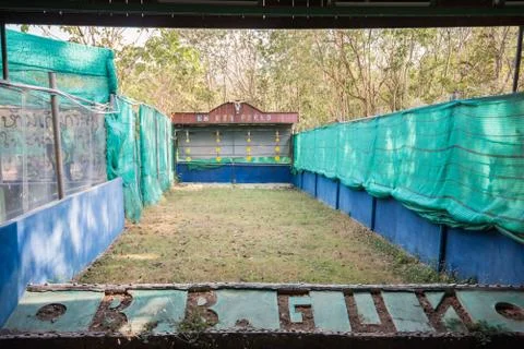 Bb gun field Stock Photos