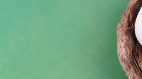 Bbird eggs in a nest Stock Footage 123696321
