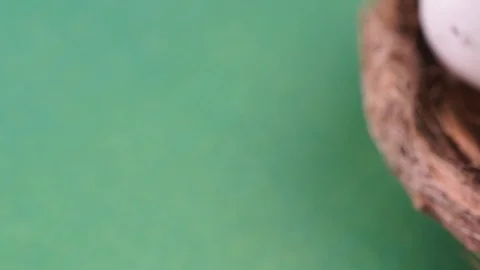 Bbird eggs in a nest Stock Footage 123696403