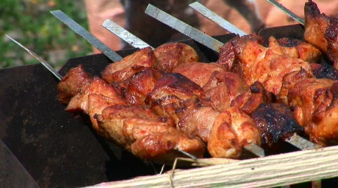 BBQ 002 Stock Footage 544211