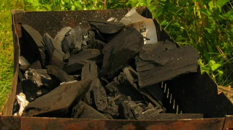 BBQ 1 time lapse Stock Footage 534997