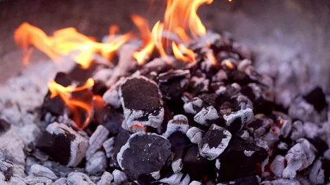 BBQ 120p Slow Motion HD 1080p Vídeo Stock 124307229