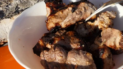 BBQ barbecue Stock-Footage 106047828