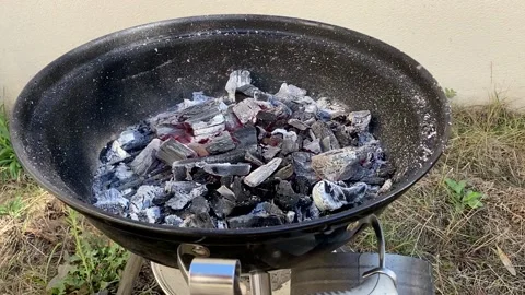 BBQ charcoal Stock Footage 217362741