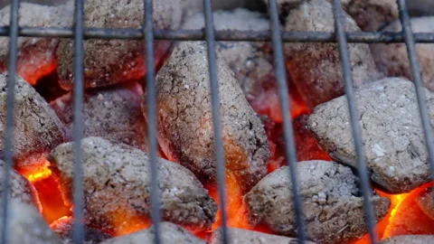 BBQ Coals Stock Footage 166319629